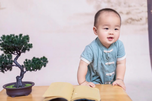 陵水可爱的企鹅宝宝